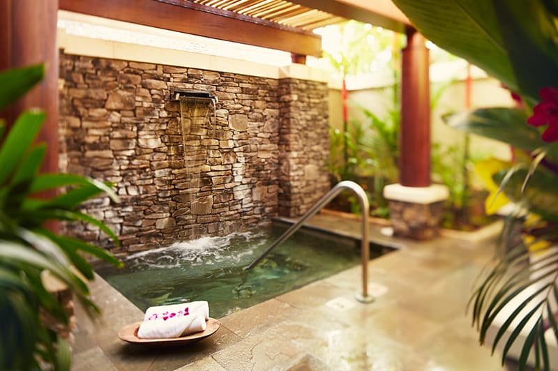 spa montage maui fitness center